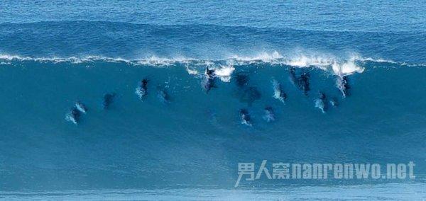 救援大胡子斗士